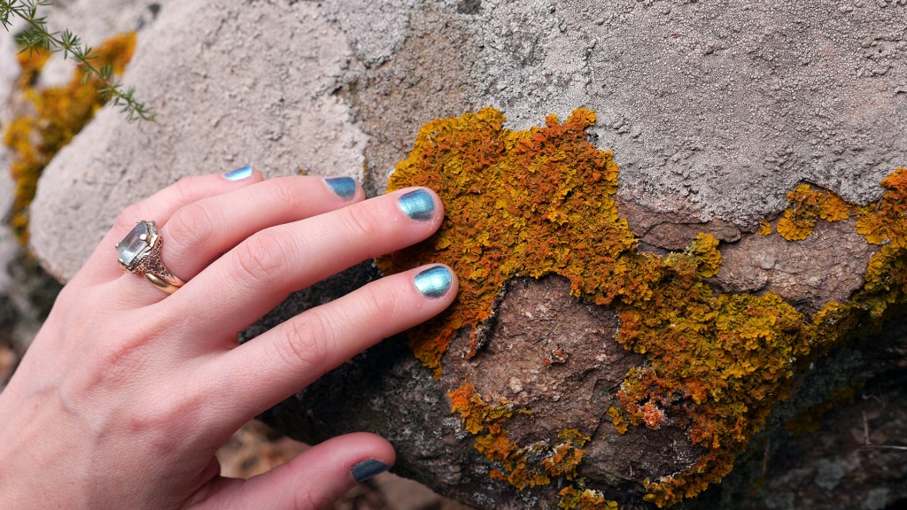 Hand On Lichen