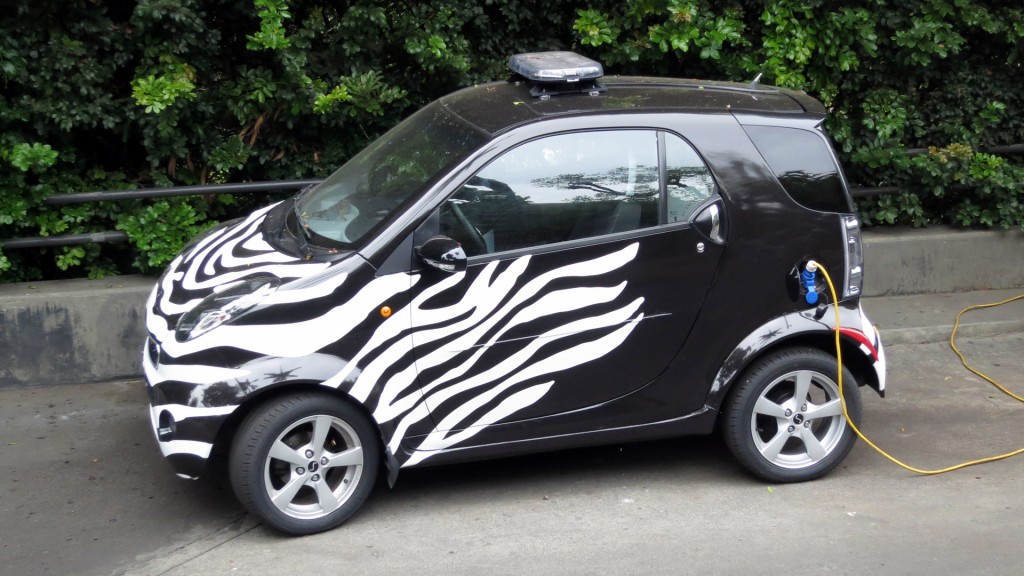 zebra smart car