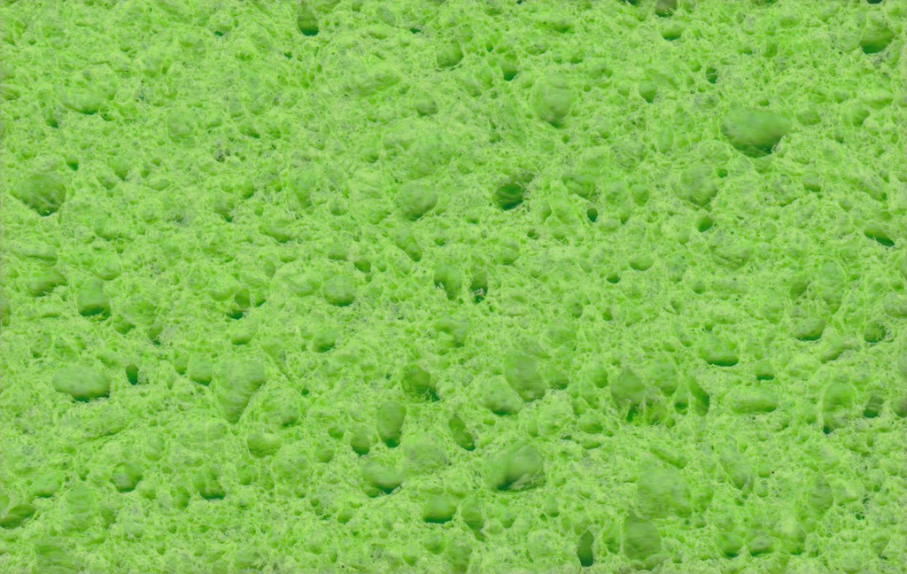 green sponge