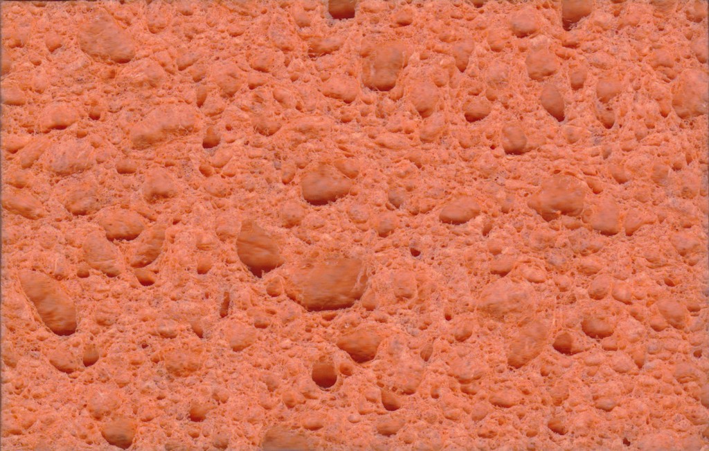 orange sponge