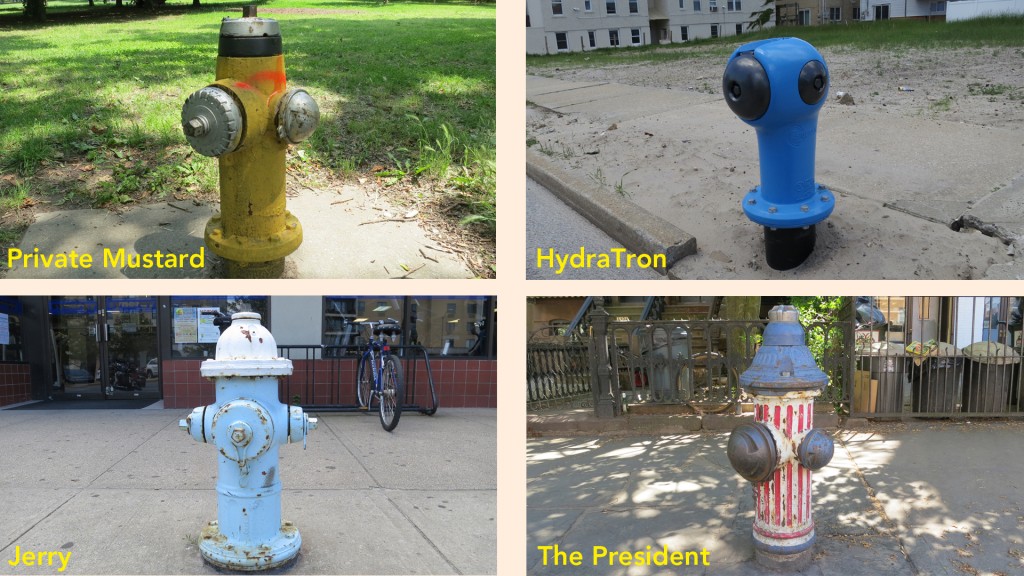 fire hydrants 2