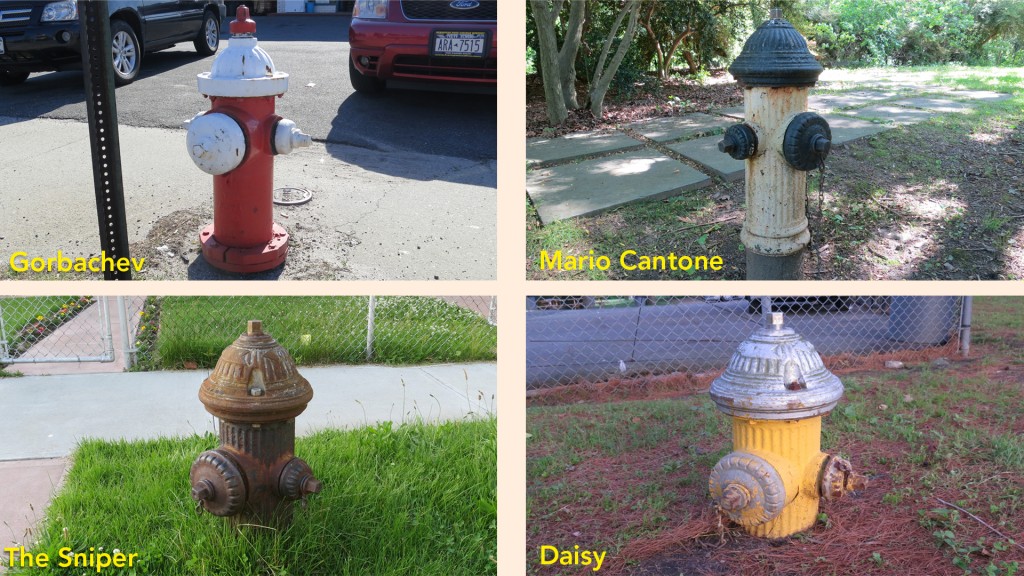 fire hydrants 3
